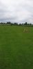 Filename=IMG-20190511-WA0051.jpg
Filesize=171KiB
Dimensions=777x1600
Date added=May 11, 2019 IMG-20190511-WA0051.jpg