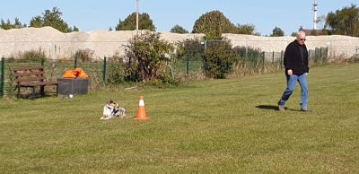 IMG-20190921-WA0091.jpg