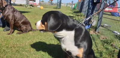 IMG-20190921-WA0154.jpg