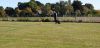 IMG-20190921-WA0040.jpg