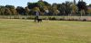 IMG-20190921-WA0063.jpg