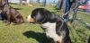 IMG-20190921-WA0154.jpg