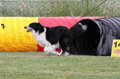 Recklinghausen_2011-066.JPG