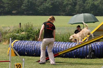 Recklinghausen_2011-114.JPG