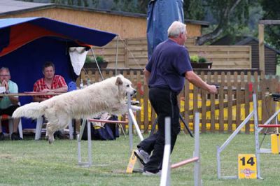 Recklinghausen_2011-176.JPG