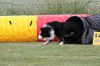 Recklinghausen_2011-058.JPG