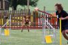 Recklinghausen_2011-138.JPG