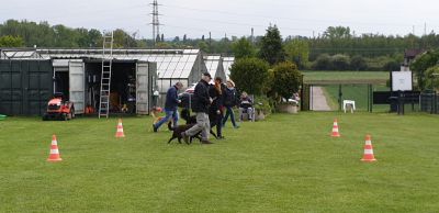 IMG-20190511-WA0012.jpg