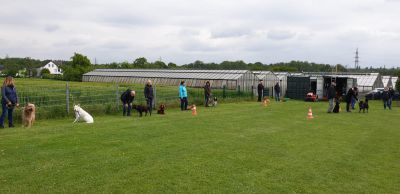 IMG-20190511-WA0014.jpg