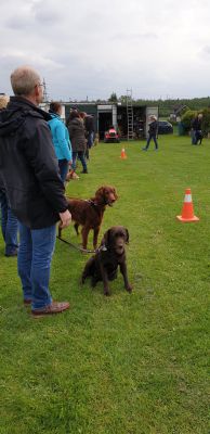IMG-20190511-WA0019.jpg
