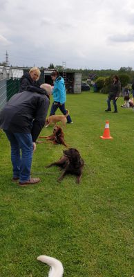 IMG-20190511-WA0020.jpg