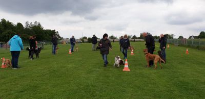IMG-20190511-WA0025.jpg