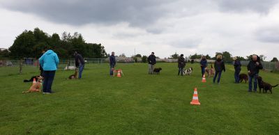 IMG-20190511-WA0027.jpg