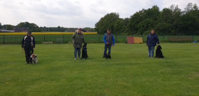IMG-20190511-WA0033.jpg
