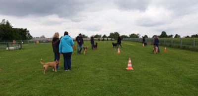 IMG-20190511-WA0038.jpg