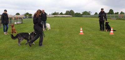 IMG-20190511-WA0053.jpg