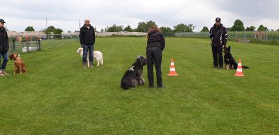 IMG-20190511-WA0057.jpg