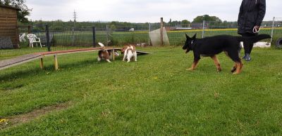 IMG-20190511-WA0061.jpg