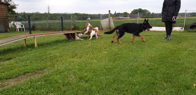 IMG-20190511-WA0065.jpg