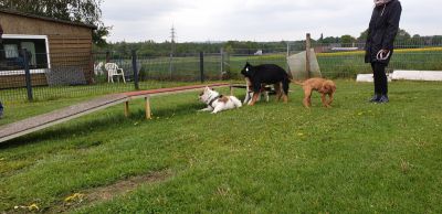 IMG-20190511-WA0067.jpg
