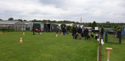 IMG-20190511-WA0086.jpg
