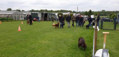 IMG-20190511-WA0088.jpg