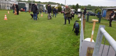IMG-20190511-WA0089.jpg