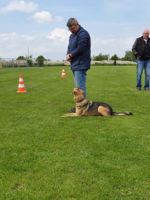 IMG-20190511-WA0106.jpg