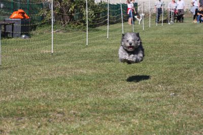 IMG_0295.JPG