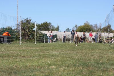 IMG_0313.JPG