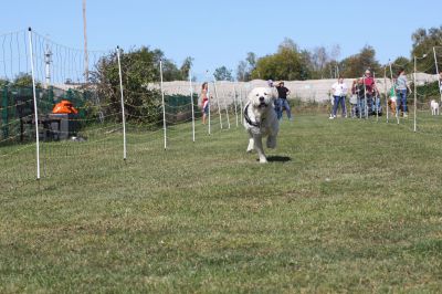 IMG_0447.JPG