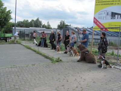 IMG-20190616-WA0018.jpg