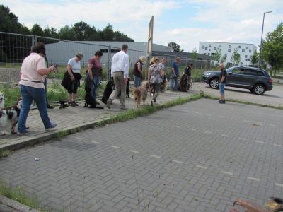 IMG-20190616-WA0026.jpg
