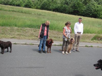 IMG-20190616-WA0027.jpg