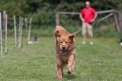 20090816_133249_MG_2820.jpg