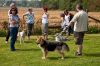 20090816_140629_MG_2784.jpg