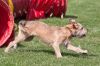 20090816_144213_MG_2939.jpg