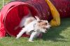 20090816_162914_MG_3037.jpg