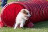 20090816_163055_MG_3041.jpg