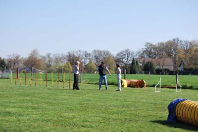 Agility_009.jpg