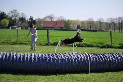 Agility_050.jpg