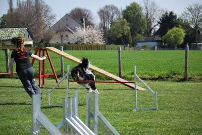 Agility_054.jpg