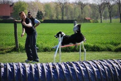 Agility_056.jpg