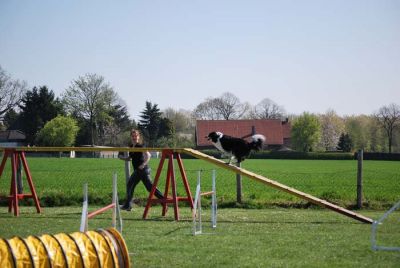 Agility_062.jpg