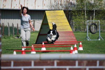 Agility_065.jpg