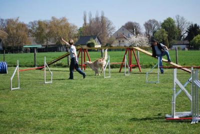 Agility_074.jpg