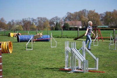 Agility_076.jpg