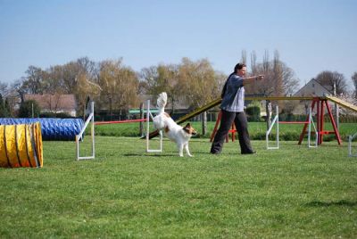 Agility_079.jpg