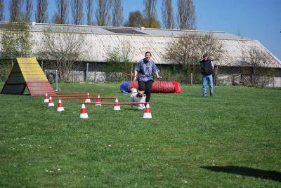 Agility_084.jpg