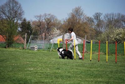 Agility_104.jpg